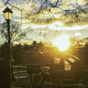 Subtle Light – Week 01/01 01/08