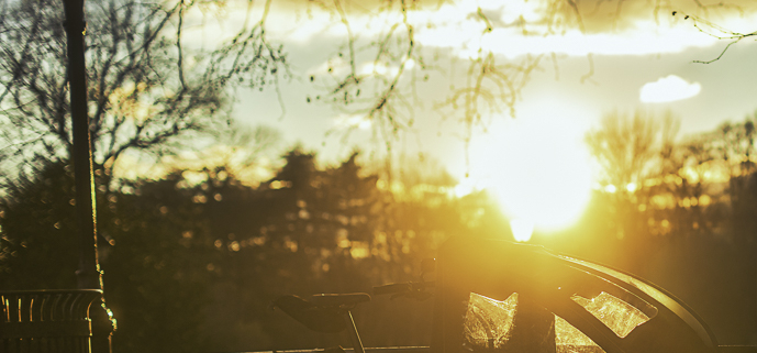 Subtle Light – Week 01/01 01/08