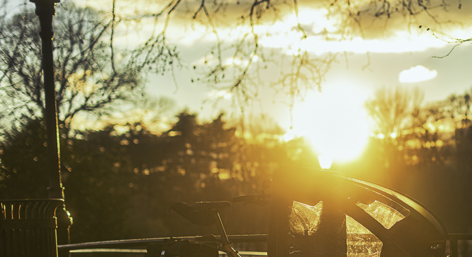 Subtle Light – Week 01/01 01/08