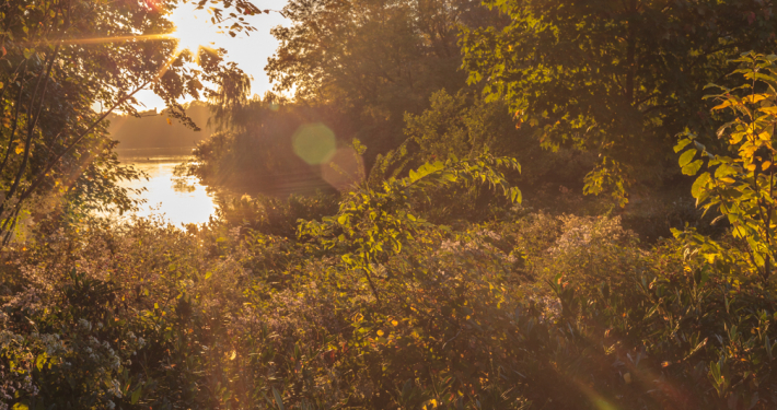 Subtle Light – Week 10/11-10/17