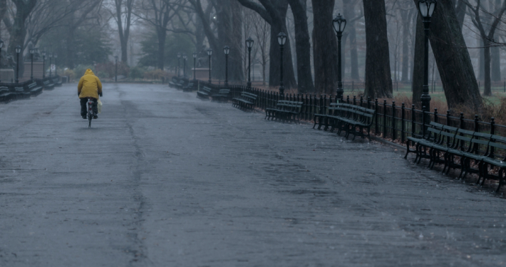 Subtle Light – Week 12/06-12/12