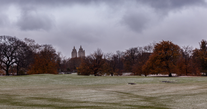 Subtle Light – Week 11/22-11/28