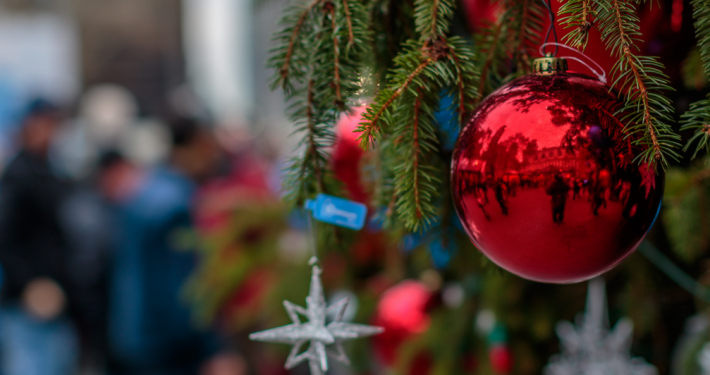 Subtle Light – Week 11/29-12/05